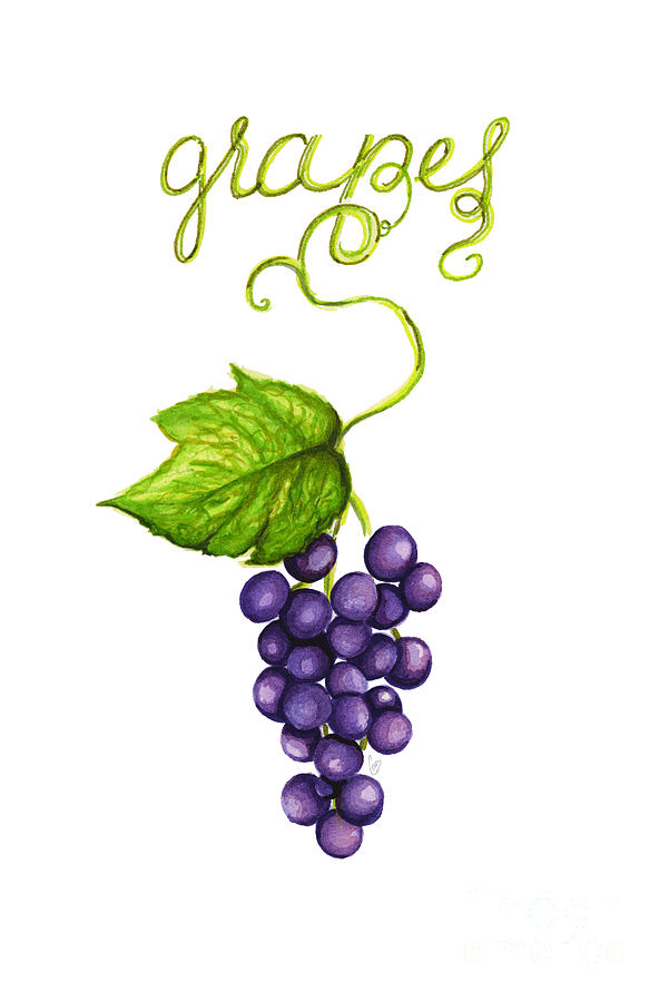 Grapes Painting by Cindy Garber Iverson