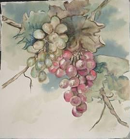Grapes Painting by Diane Ziemski