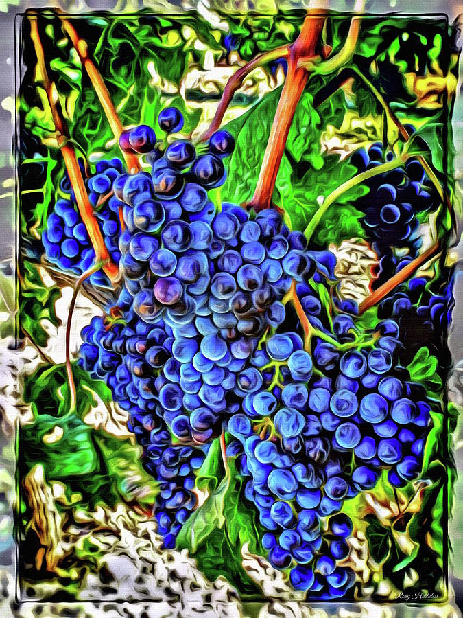 Grapes Full Photograph by Roxy Hurtubise