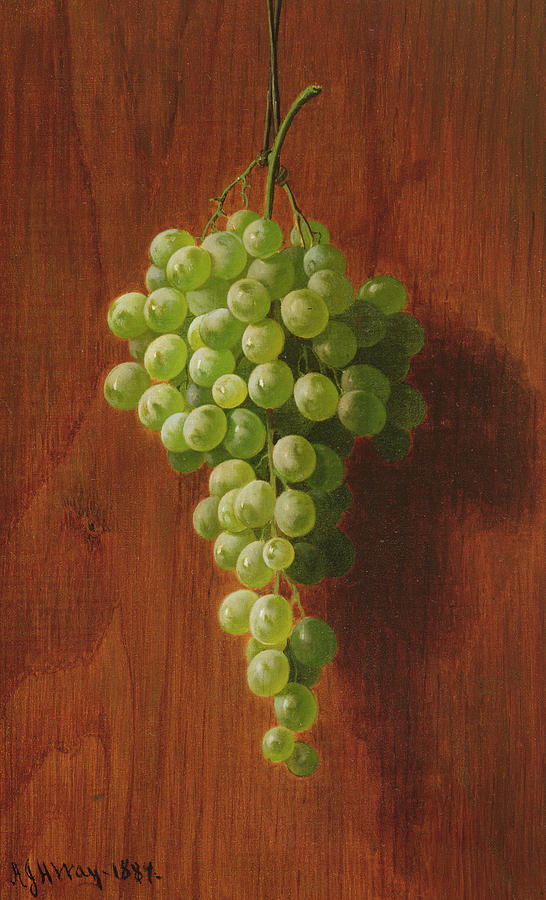 Grape Painting - Grapes   Green by Andrew John Henry Way
