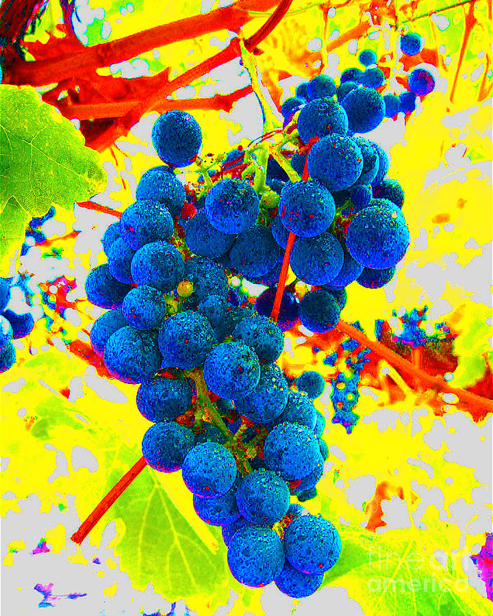 Grape Photograph - Grapes by Jerome Stumphauzer
