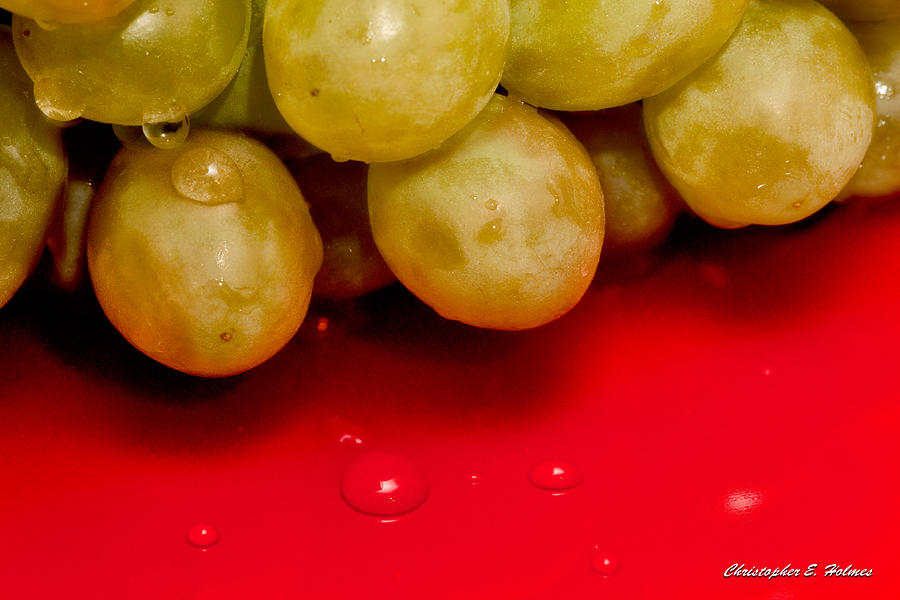 Grapes on Red Photograph by Christopher Holmes