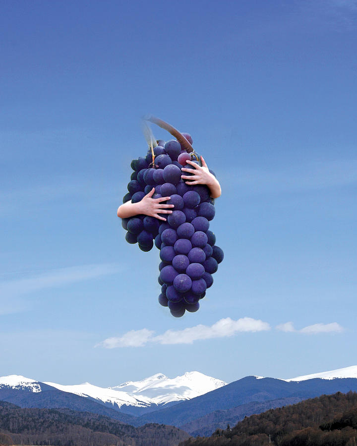Grape Digital Art - Grapes by Sergio Carlos Spinelli