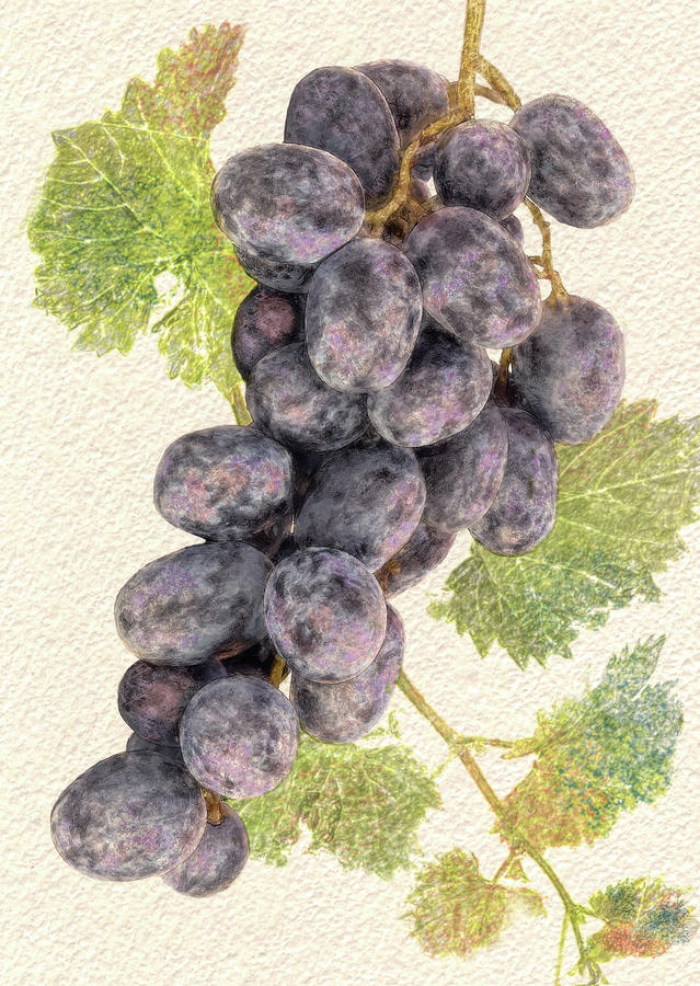 Luscious Grapes Digital Art by Bill Johnson
