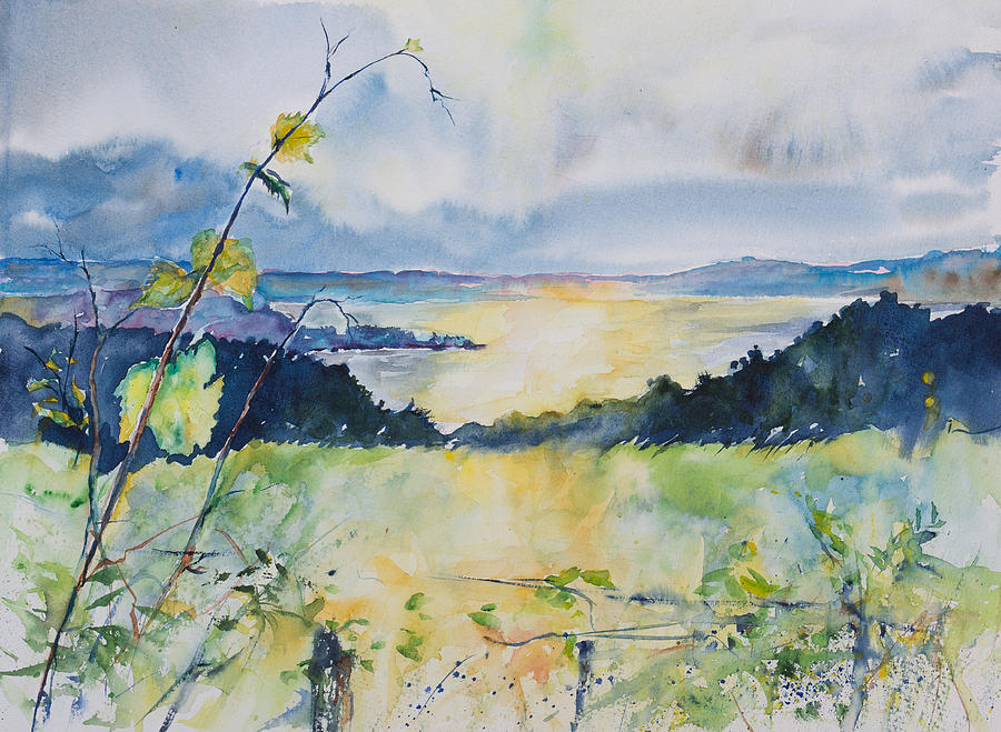 Grapevines Over The Bay Painting