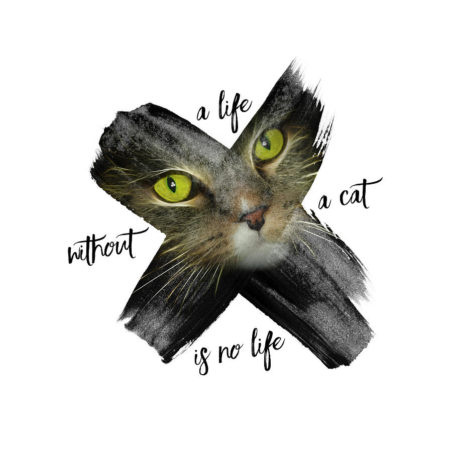 Up Movie Photograph - Graphic Art British Shorthair Cat by Melanie Viola