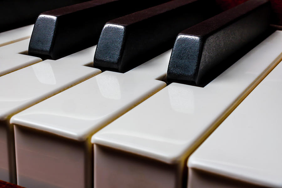 Graphic Piano Keys Photograph by Garry Gay