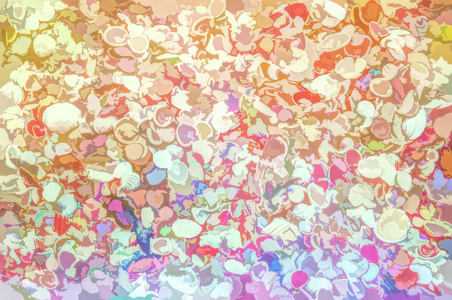 Graphic Rainbow Ocean Shells Photograph