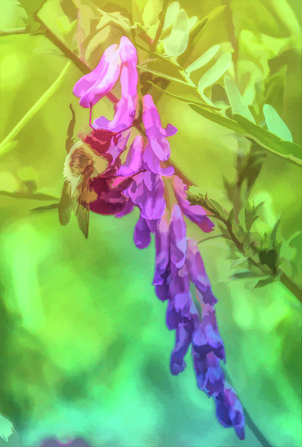 Graphic Rainbow Pollination Photograph