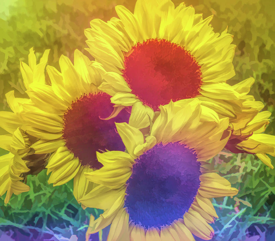 Graphic Rainbow Sunflower Bouquet Photograph