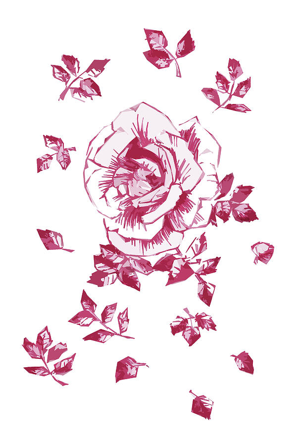 Graphic Pink Rose With Leaves Drawing
