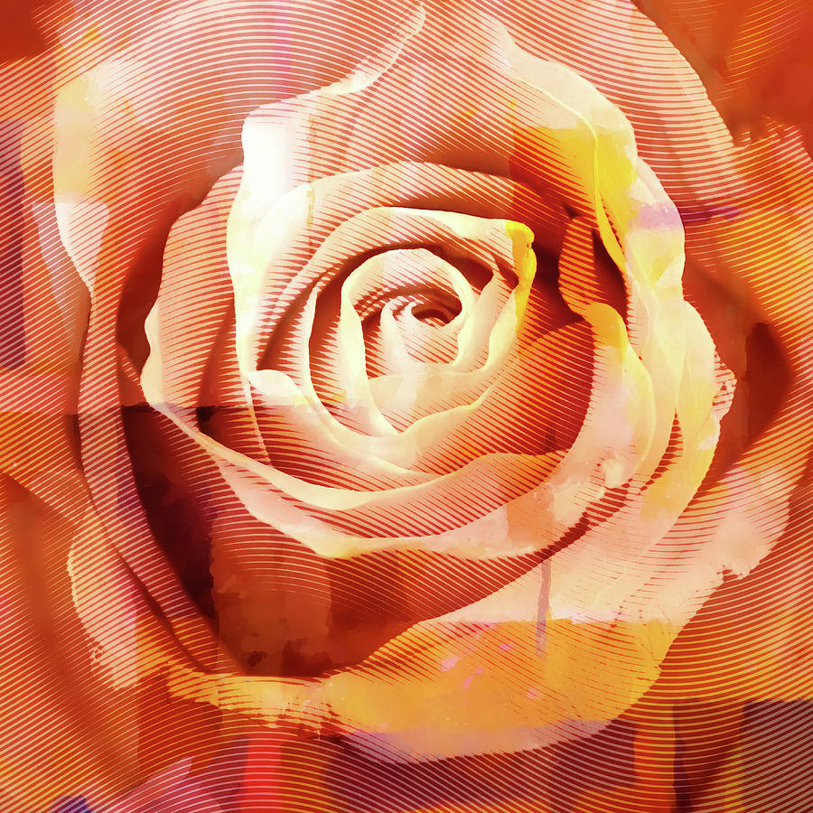 Rose Digital Art - Graphic Rose by Lutz Baar