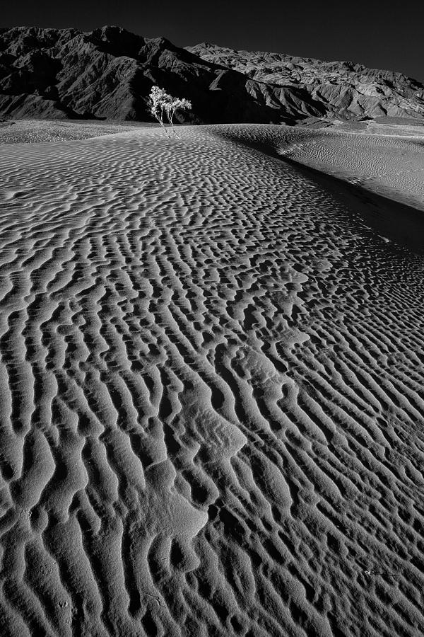 Graphic Sand Photograph by Jeff Clay - Fine Art America