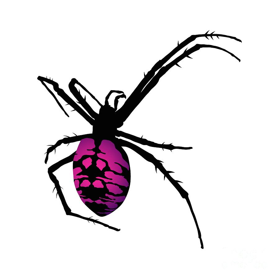 Graphic Spider Black and Purple Digital Art by MM Anderson