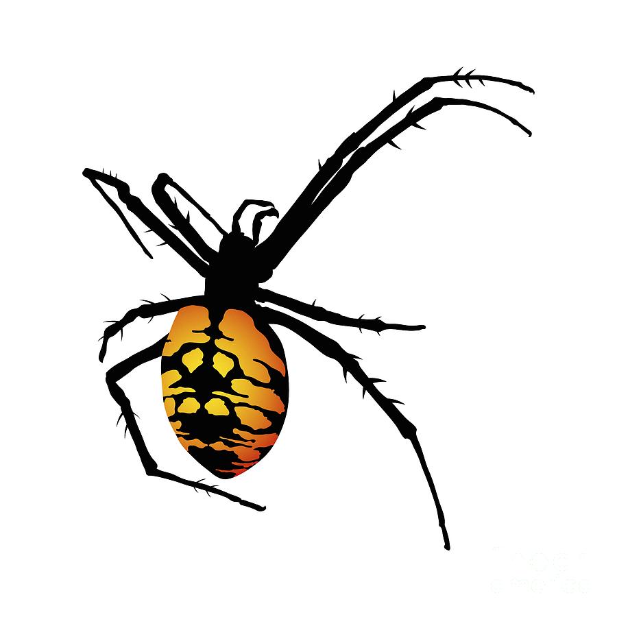 Graphic Spider Black and Yellow Orange Digital Art by MM Anderson