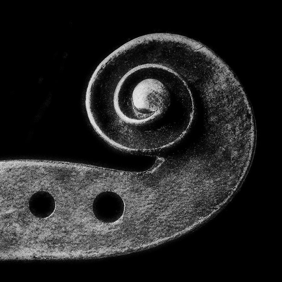Graphic Violin Scroll Photograph by Garry Gay
