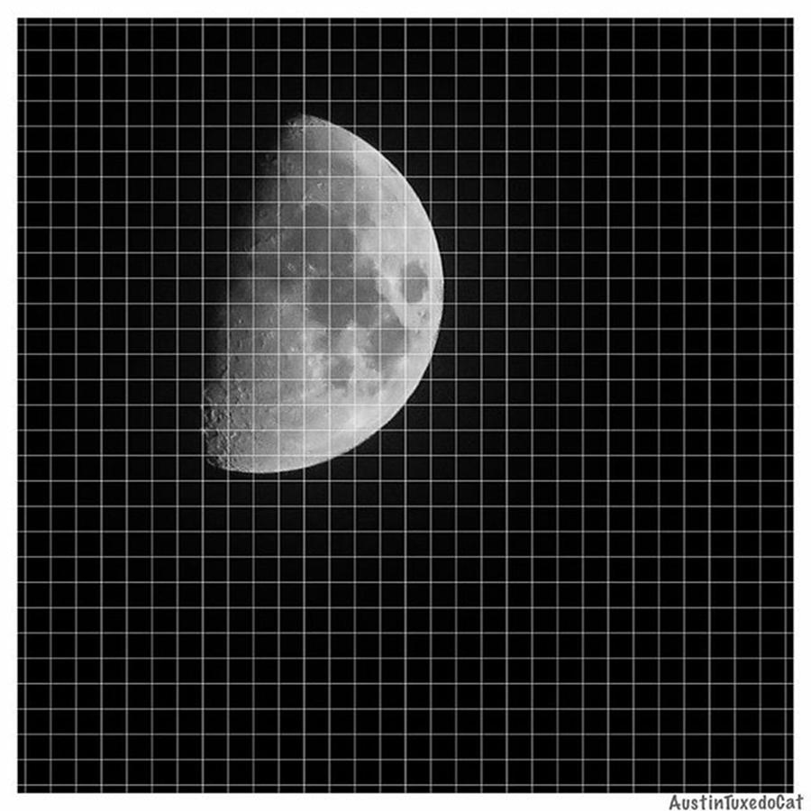 Nature Photograph - Graphing The #moon In by Austin Tuxedo Cat