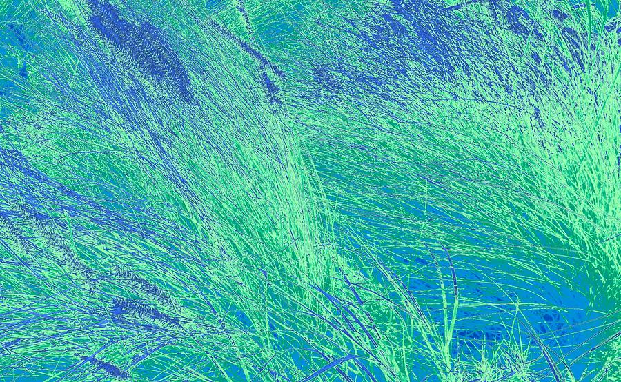 Grass Abstract 1 Photograph by Donna Spadola