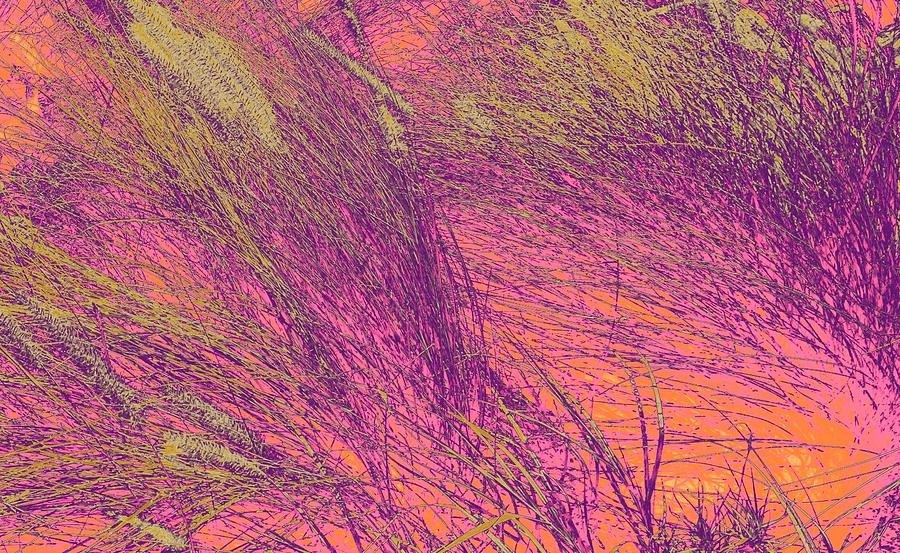 Grass Abstract 3 Photograph by Donna Spadola