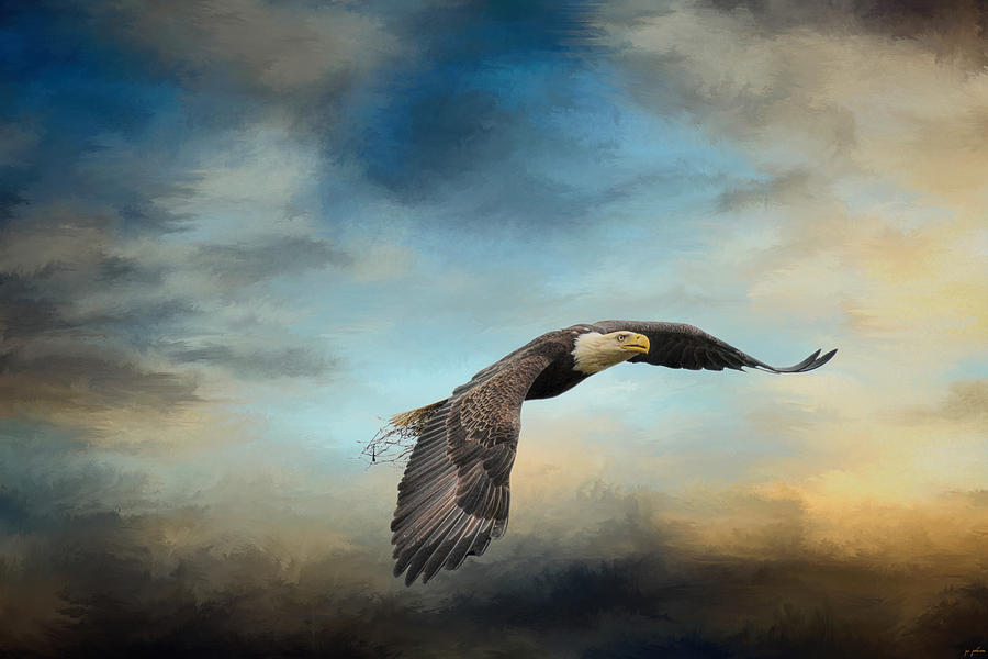 Eagle Photograph - Grass Before The Storm by Jai Johnson