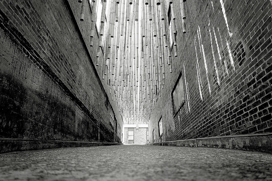 Grass Garden Alley Photograph by Gregory Cook - Fine Art America