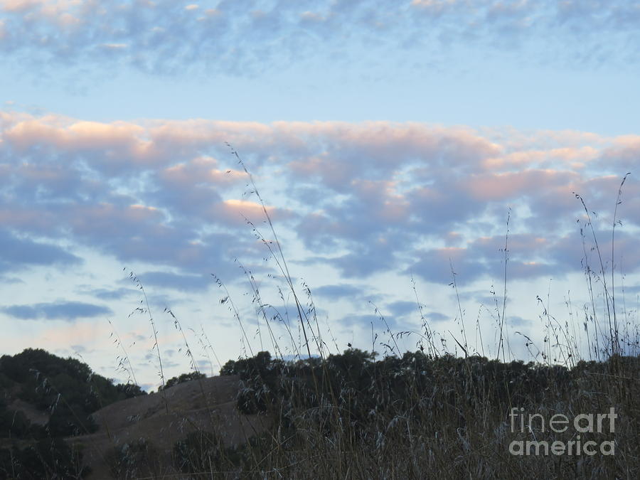 Nature Photograph - Grass, hills, and dappled clouds by Suzanne Leonard