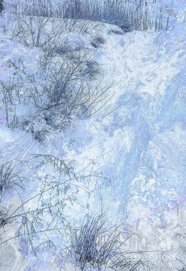 Grass In Snow Digital Art by Randy Steele
