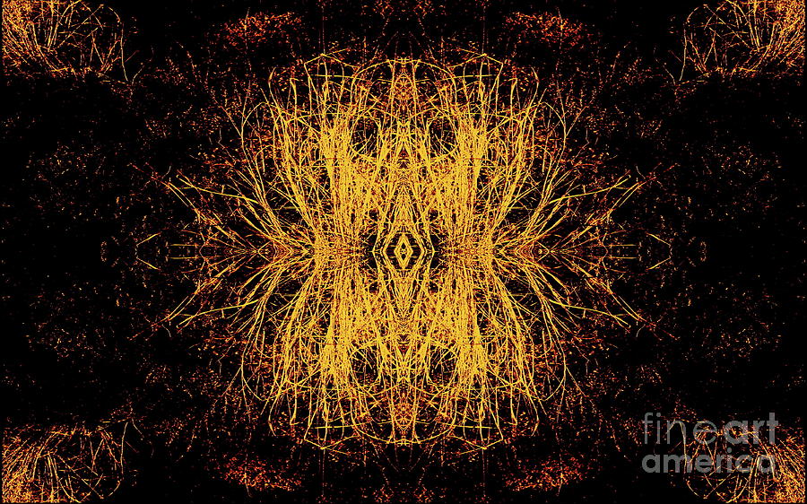 Grass Mandala Digital Art by Tim Richards