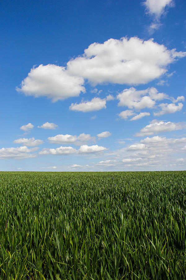 Grass Photograph - Grass meets sky by Peggy Berger Grass Photograph - Grass meets sky by Peggy Berger