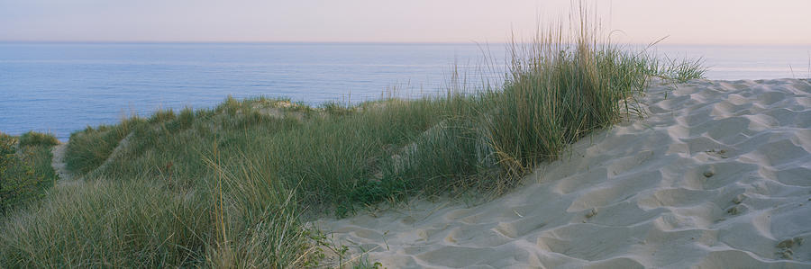 Lake Michigan Photograph - Grass On A Sand Dune, Indiana Dunes by Panoramic Images