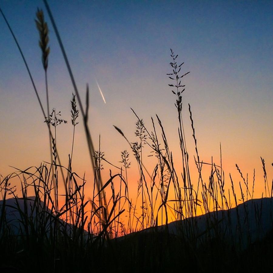 Summer Photograph - #grass #rigi #sunset #summer by Thomas Lindauer