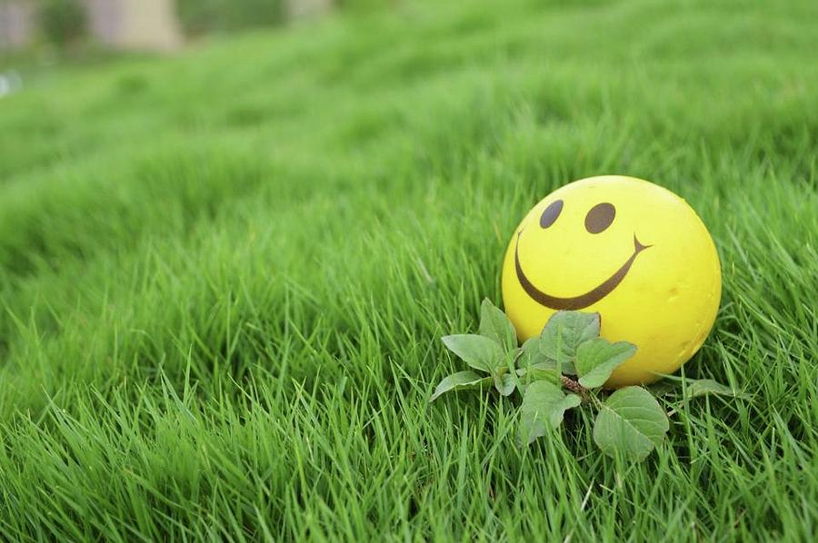 Grass Smiley Photograph by Smita Shitole Fine Art America