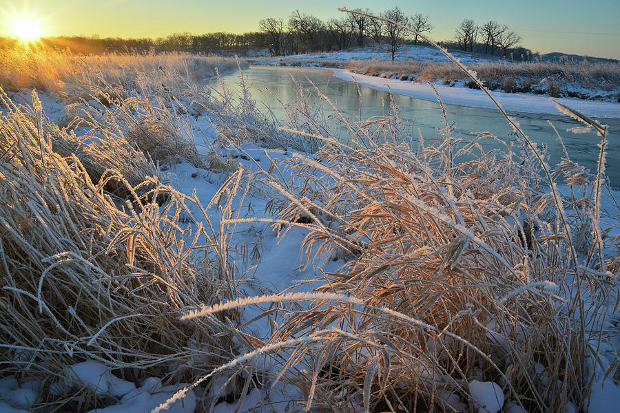Grasses Covered with Hoarfrost Along Nippersink Creek Photograph by Ray Mathis