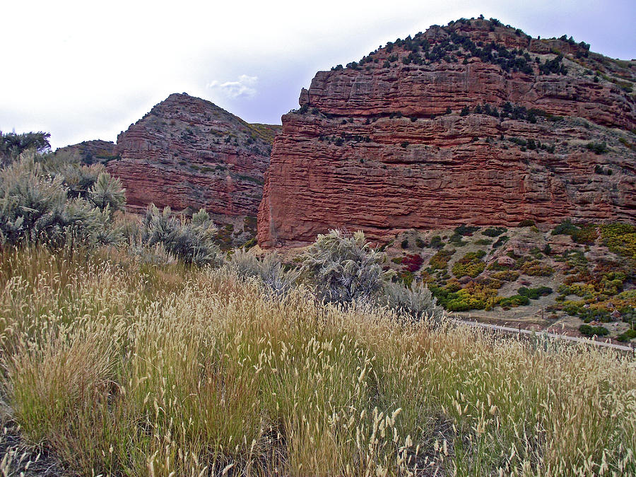 Grasses in Echo Canyon, I 80, Utah  Photograph by Ruth Hager