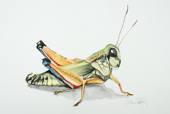 Insects Painting - Grasshoppa by Jennifer Lindsley