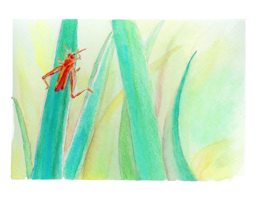 Grasshopper 2 Painting by C Sitton