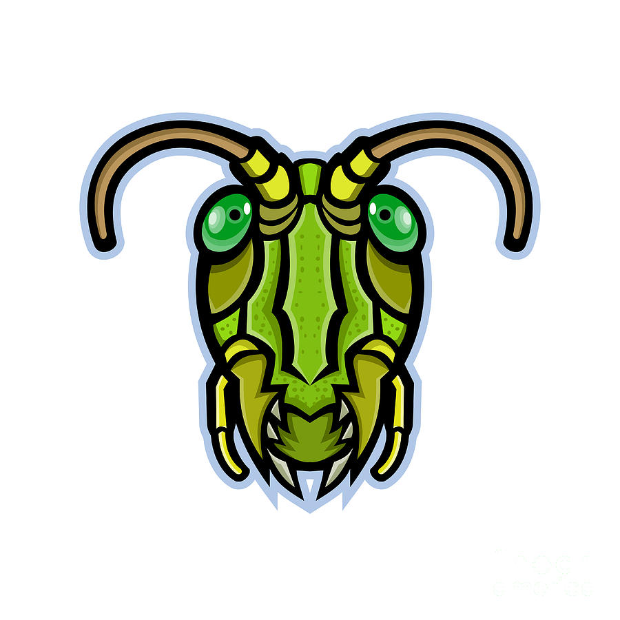 Grasshopper Digital Art - Grasshopper Head Mascot by Aloysius Patrimonio