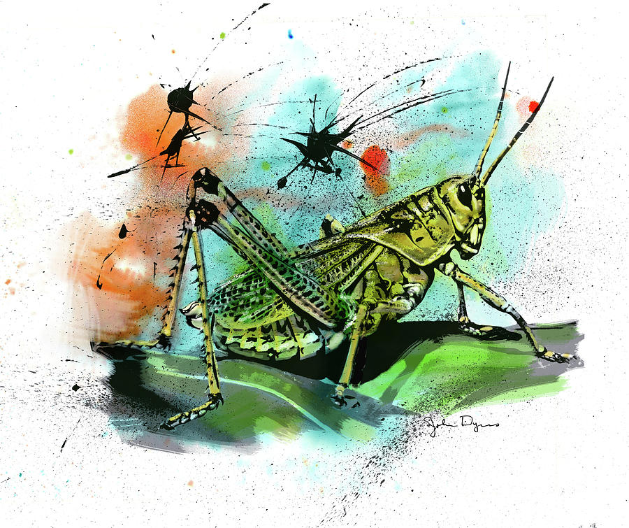 Grasshopper Drawing by John Dyess
