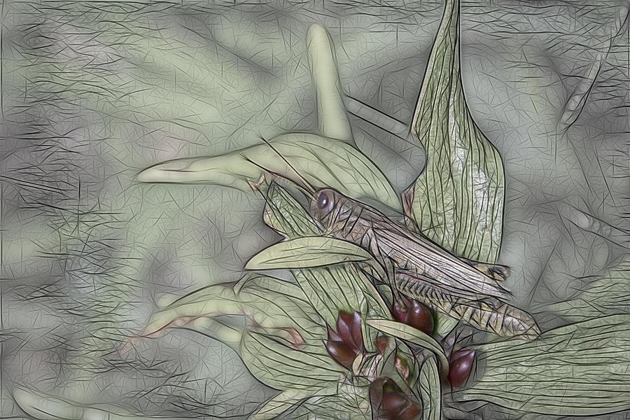 Grasshopper Pose Digital Art by Renette Coachman