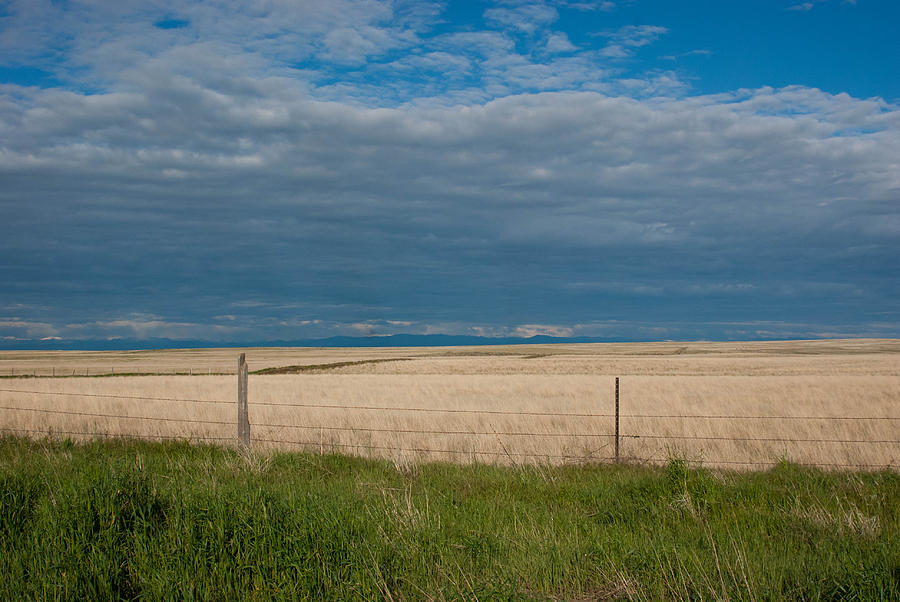 Grassland and Sky Layers Photograph by Cascade Colors