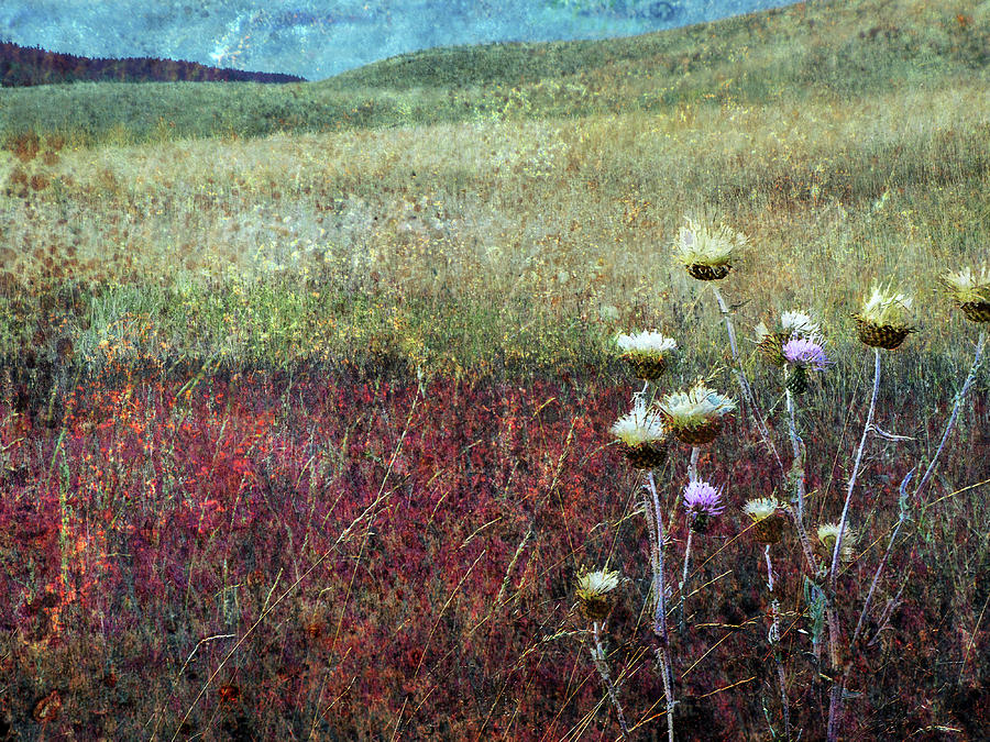Grasslands - Autumn Photograph by Ed Hall