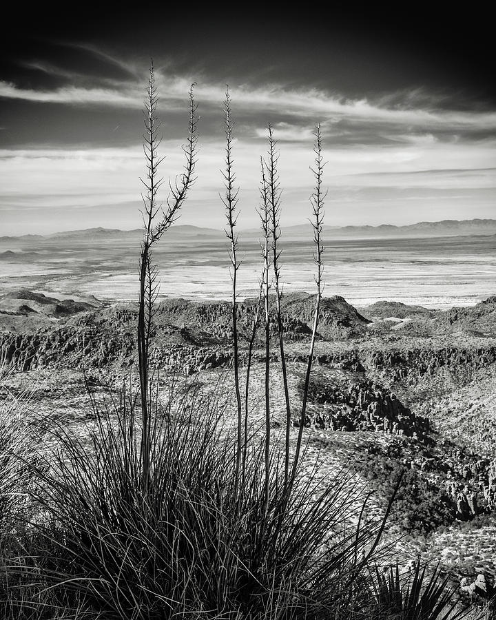 Grasslands Photograph by Joseph Smith
