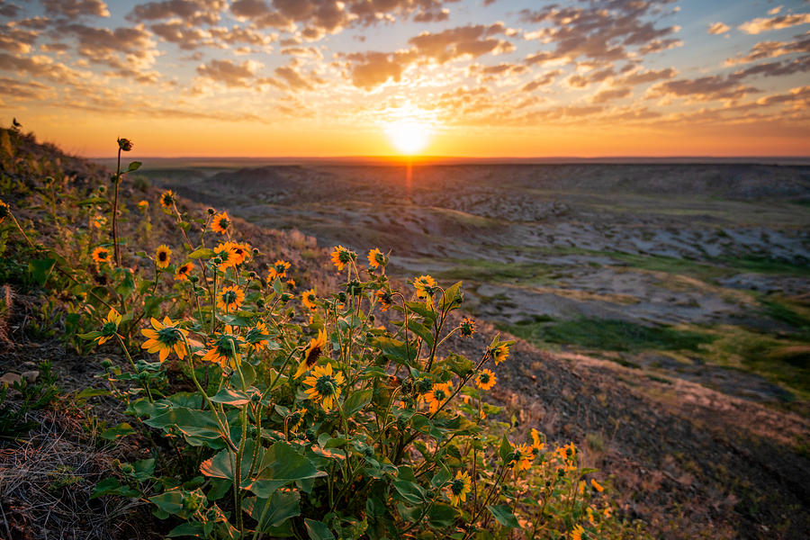 Grasslands National Park Sunrise Photograph by Matt Hammerstein