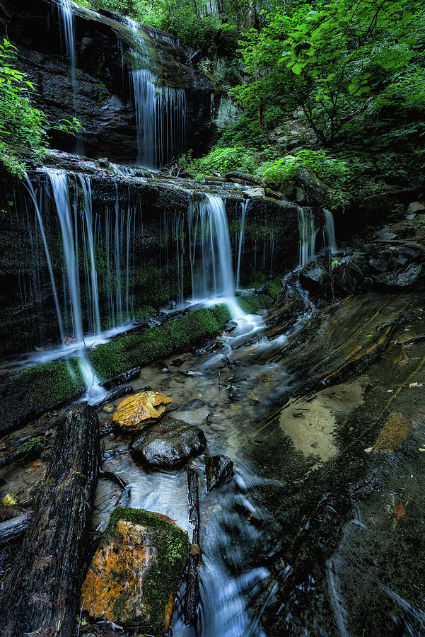 Grassy Creek Falls Photograph by C  Renee Martin
