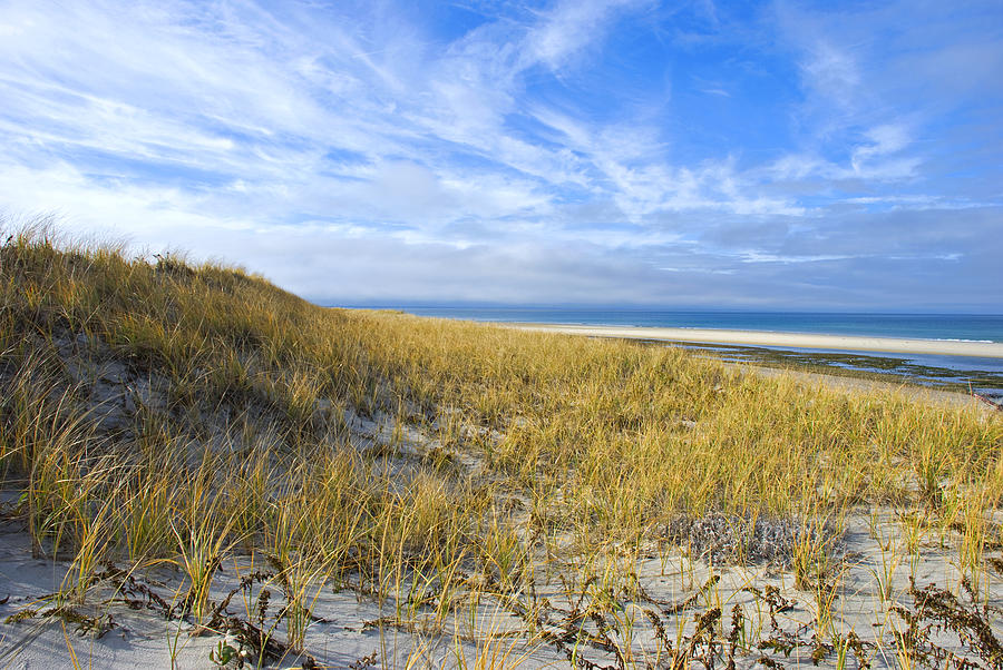 Grassy Sand Dunes Overlooking the Beach Photograph by Charles Harden