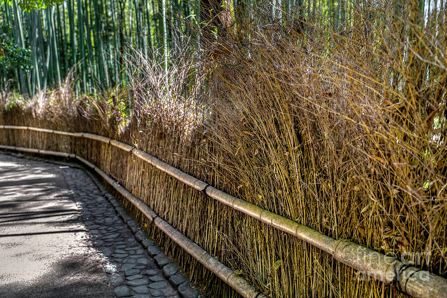 Grassy Fence in Arashiyama Kyoto Photograph by Karen Jorstad