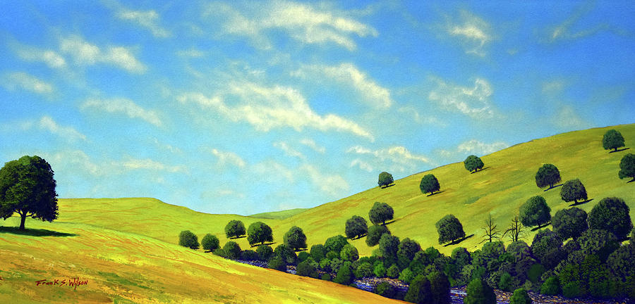 Grassy Hills At Meadow Creek Painting by Frank Wilson