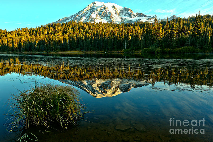 Mountain Photograph - Grassy Rainier Reflections by Adam Jewell