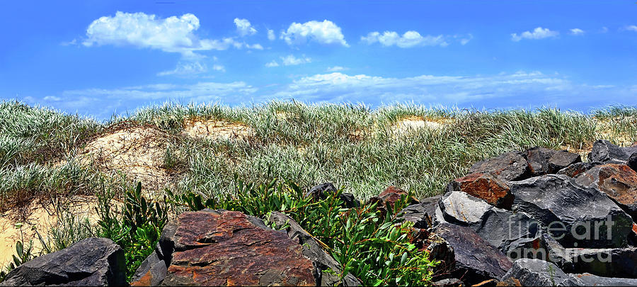 Grassy Sand Dune by Kaye Menner Photograph by Kaye Menner