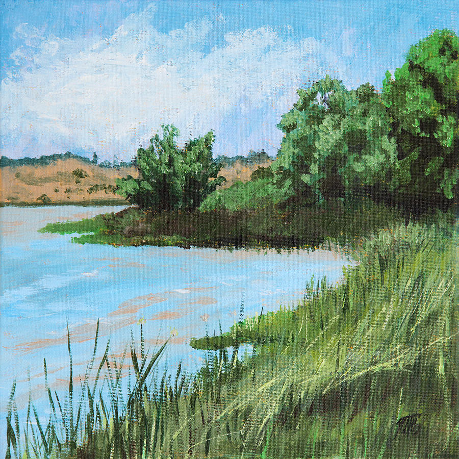 Grassy Shore Painting by Masha Batkova